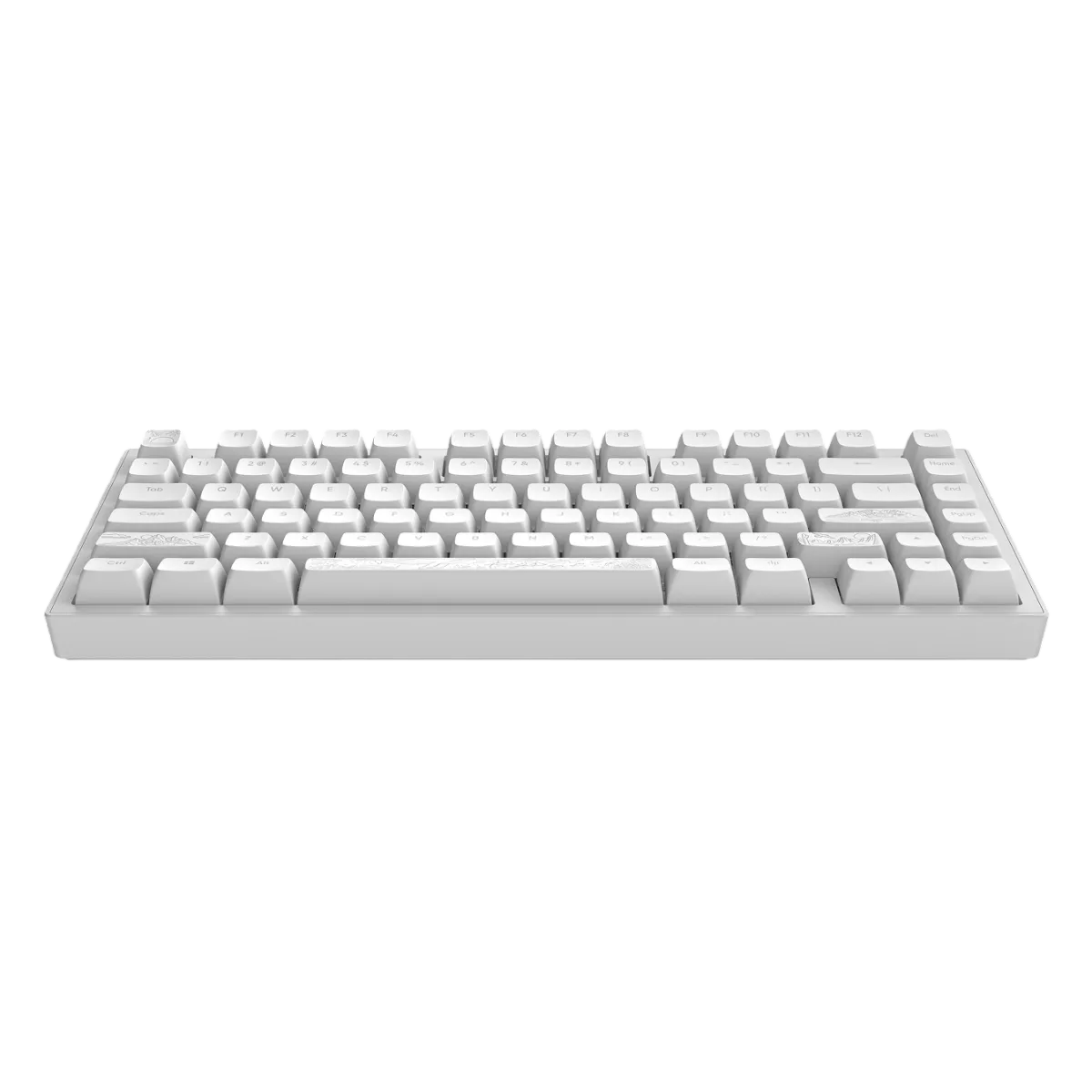 Клавиатура игровая проводная Dark Project ALU81A Terra Nostra / Белый