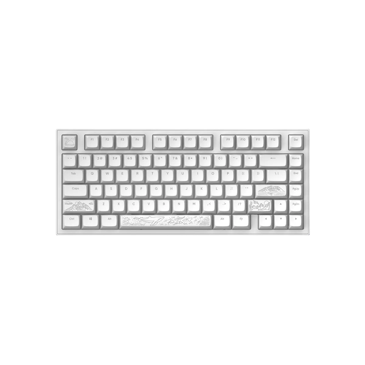 Клавиатура игровая проводная Dark Project ALU81A Terra Nostra / Белый