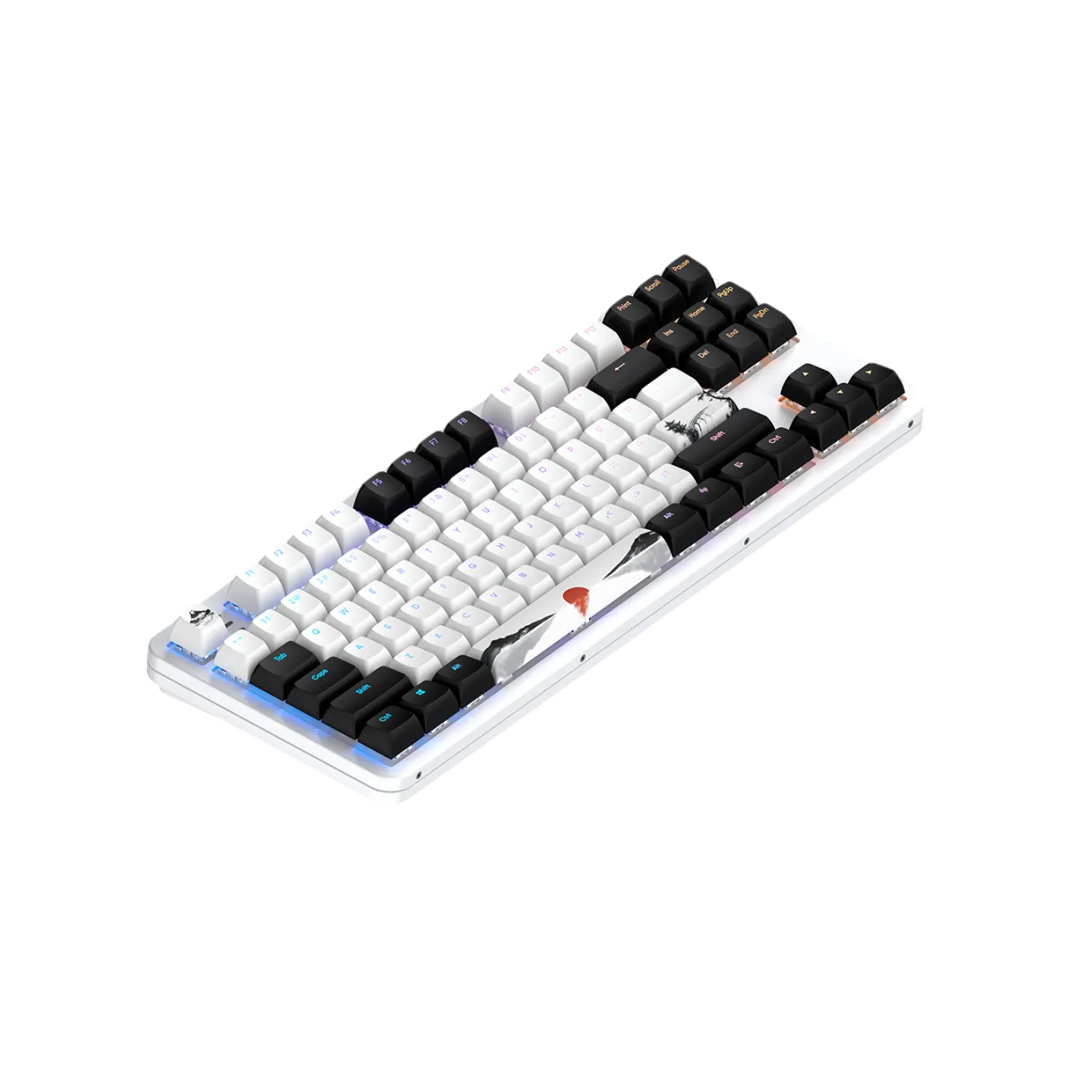 Клавиатура проводная Dark Project 87 Fuji V2