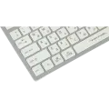 Клавиатура проводная A4Tech Fstyler FX50 / White