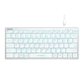 Клавиатура проводная A4Tech Fstyler FX61 / White