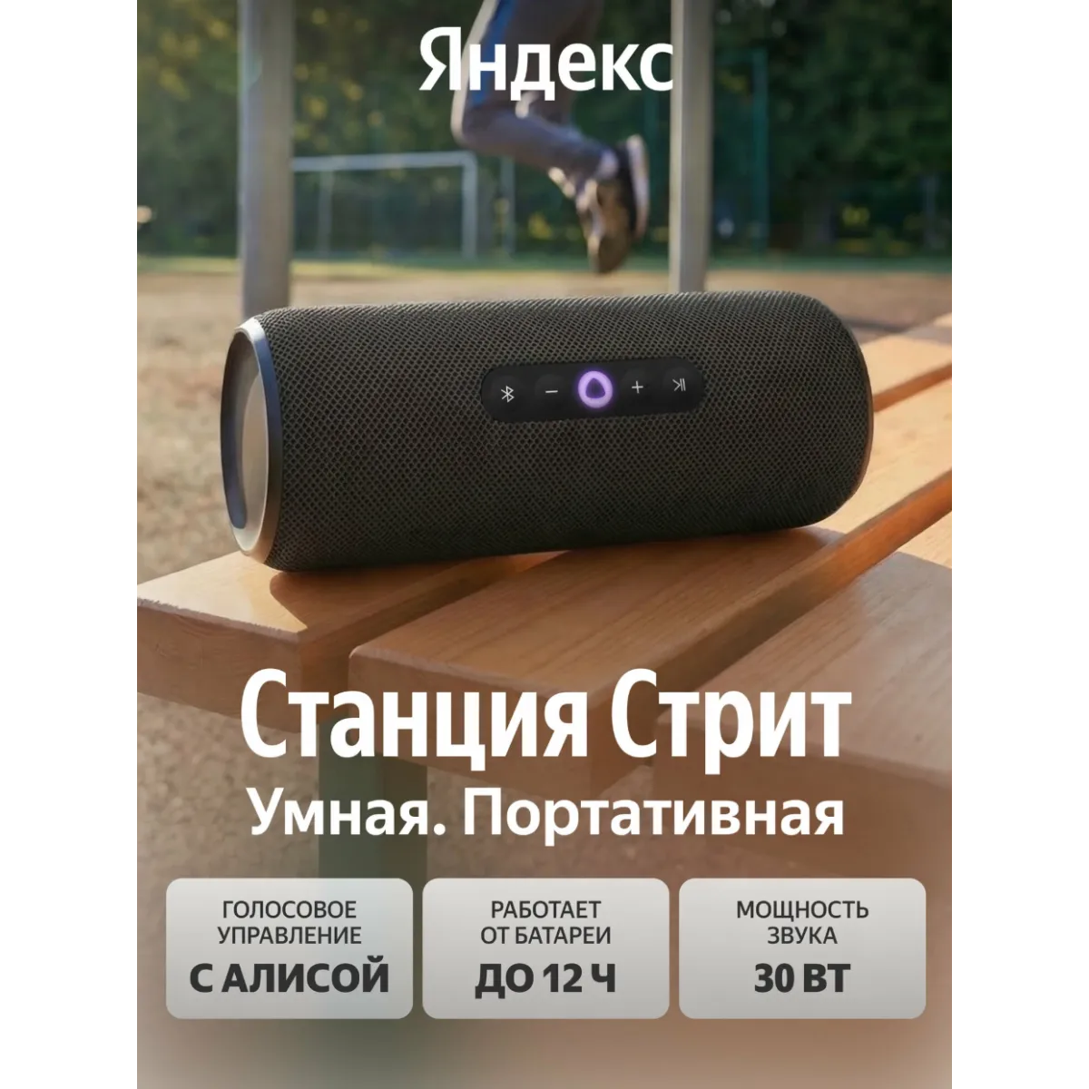 Умная портативная колонка Яндекс Станция Стрит с Алисой / Черный