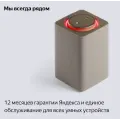 Умная колонка Яндекс Станция Макс с Алисой и Zigbee / Бежевый