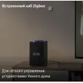 Умная колонка Яндекс Станция Макс с Алисой и Zigbee / Черный