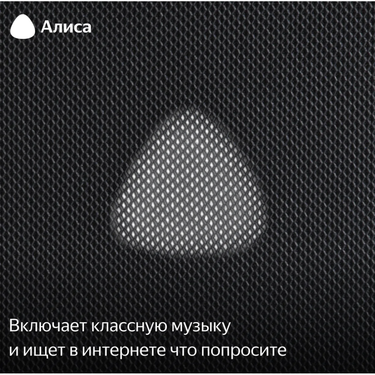 Умная колонка Яндекс Станция Макс с Алисой и Zigbee / Черный