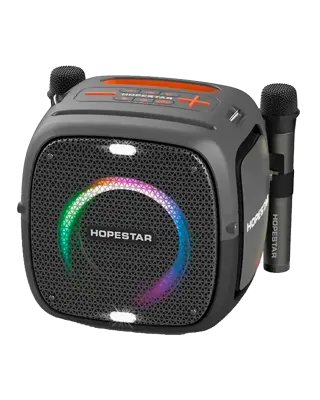 Акустическая беспроводная колонка Hopestar Party One + 2 Microphone