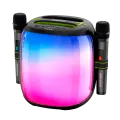 Акустическая беспроводная колонка Hopestar Party 500 + 2 Microphone