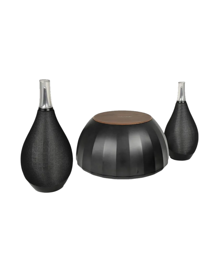 Акустическая система Microlab BottleWine / 2.1 / Bluetooth / Black