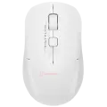 Мышь беспроводная A4Tech Fstyler FG16C / White