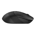 Мышь беспроводная A4Tech Fstyler FB10C / Stone Black