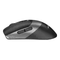 Мышь беспроводная A4Tech Fstyler FB50C Plus / Black