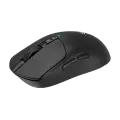 Мышь игровая беспроводная Bloody R72 Pro Duo Gaming / Black
