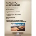 Проектор портативный Wanbo Vali 1 Pro / White