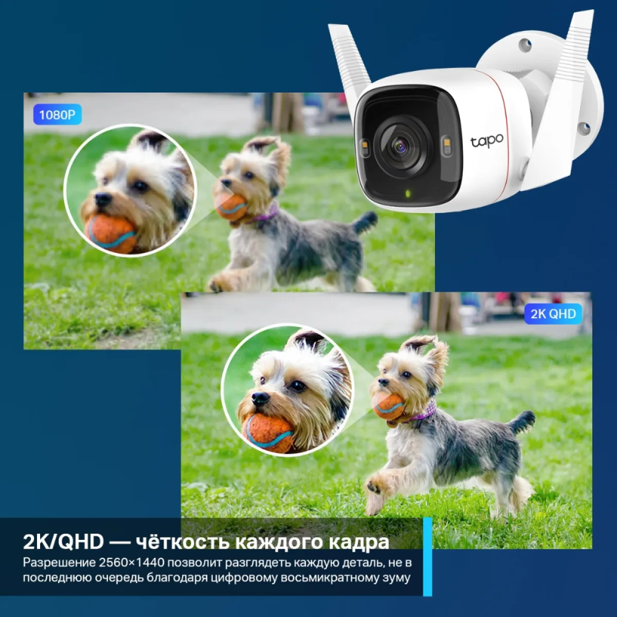 TP-Link Tapo C320WS / Умная наружная камера