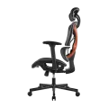 Кресло офисное LUMI SpineX CH05-31 Chair / Black
