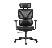 Кресло офисное LUMI SpineX CH05-31 Chair / Black