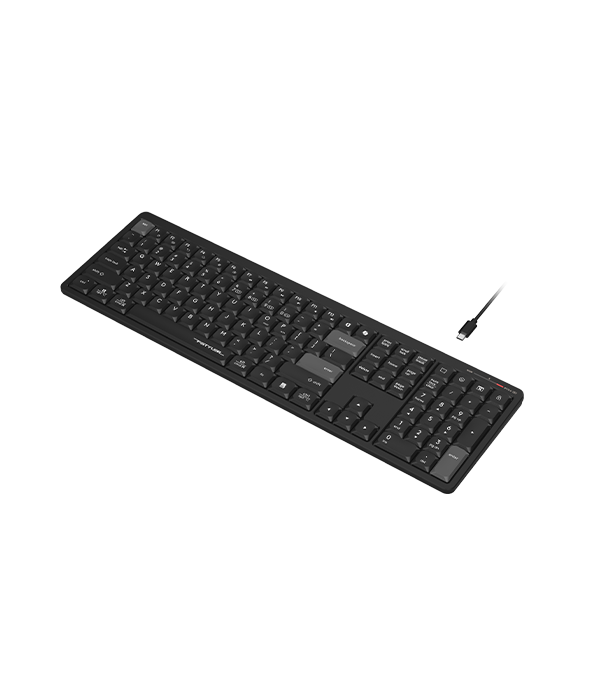 FBX55C