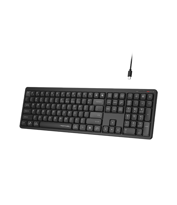 FBX55C