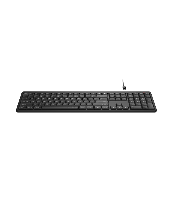 FBX55C