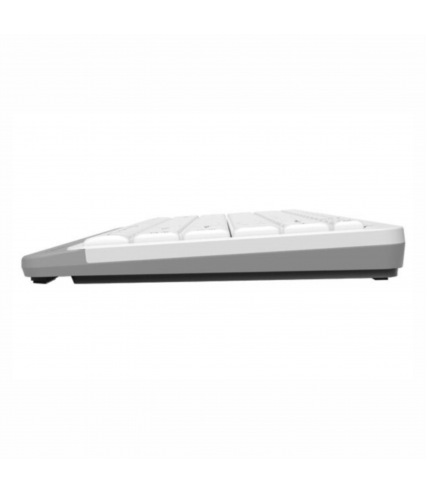 FK11 (Black / White)