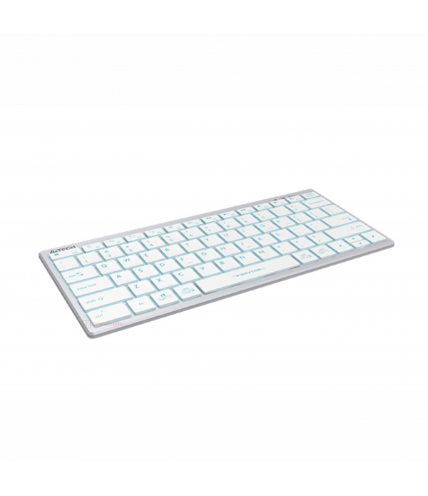 FX61 (Grey / White)