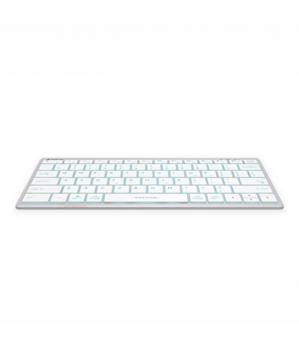 FX61 (Grey / White)