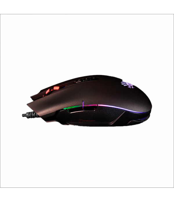 Q80 Maze Q80 Maze