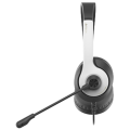Наушники проводные A4Tech Fstyler FH100U Panda / Black-White