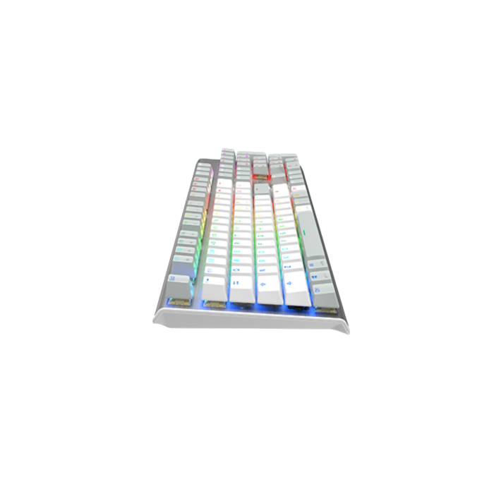 Клавиатура игровая проводная A4Tech FS100 / Grayish White