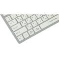 Клавиатура проводная A4Tech Fstyler FX50 / White