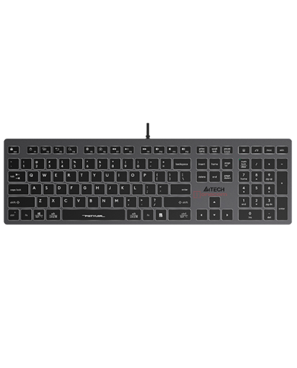 Клавиатура проводная A4Tech Fstyler FX60H / Grey