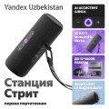 Яндекс Портативная Станция Стрит с Алисой Черный