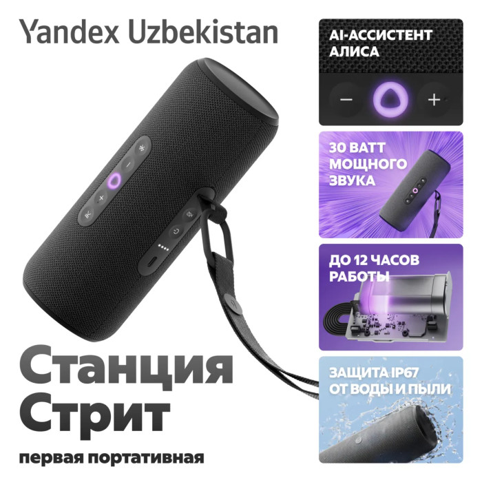 Яндекс Портативная Станция Стрит с Алисой Черный