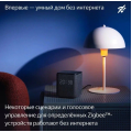 Яндекс Станция Миди Серый