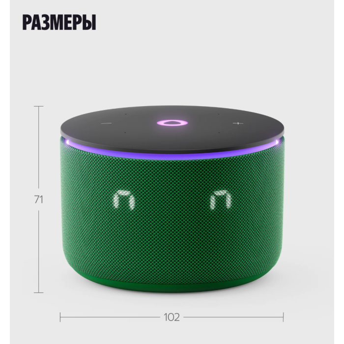 Яндекс Станция Мини 3 ПРО Зелёный