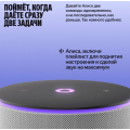 Яндекс Станция Мини 3 ПРО Серый