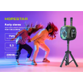 Акустическая беспроводная колонка Hopestar Party One + 2 Microphone