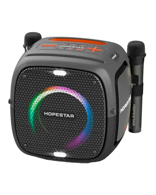 Акустическая беспроводная колонка Hopestar Party One + 2 Microphone