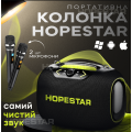 Акустическая беспроводная колонка Hopestar Party Box 150