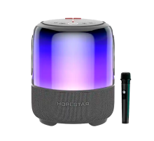 Акустическая беспроводная колонка Hopestar SC-01