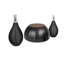 Акустическая система Microlab BottleWine / 2.1 / Bluetooth / Black
