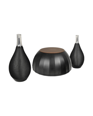 Акустическая система Microlab BottleWine / 2.1 / Bluetooth / Black