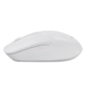 Мышь беспроводная A4Tech Fstyler FG12 / White