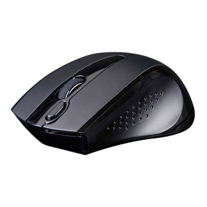 Мышь беспроводная A4Tech G9-500FS / Black