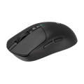 Мышь игровая беспроводная Bloody R72 Pro Duo Gaming / Black