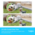 TP-Link Tapo C420S1 / Умная система видеонаблюдения с 1 камерой с аккумулятром и поддержкой ИИ