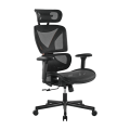 Кресло офисное LUMI SpineX CH05-31 Chair / Black