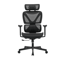 Кресло офисное LUMI SpineX CH05-31 Chair / Black